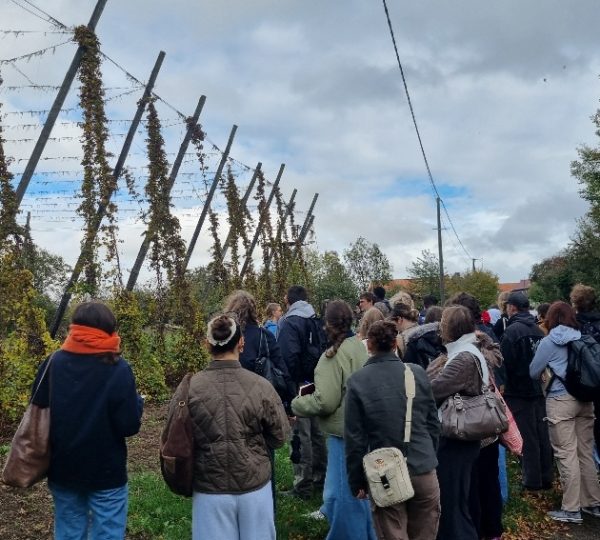 20251020_144725_resized