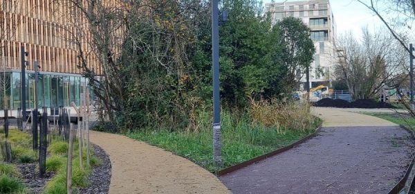 ActuPetitBruge_SiteDZO